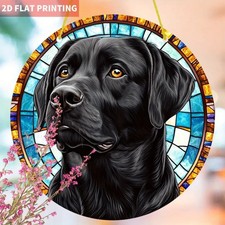 Black Labrador with Amber Eyes