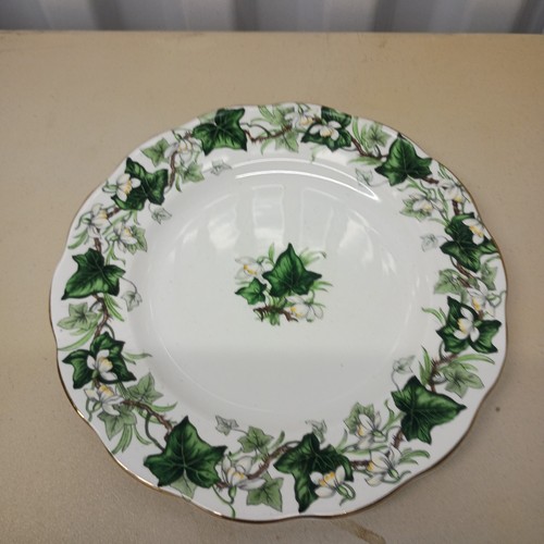Royal albert ivy lea - albert, salad