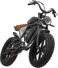 X70 Adult E-Bike with 90 Nm