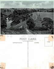 Vintage Postcard - Scaur Bank