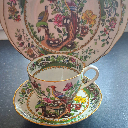 Spode tea cup saucer set - spode,