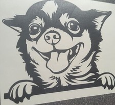 1x Chihuahua Dog Decal Vinyl