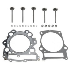 Cylinder Head Valves Seals