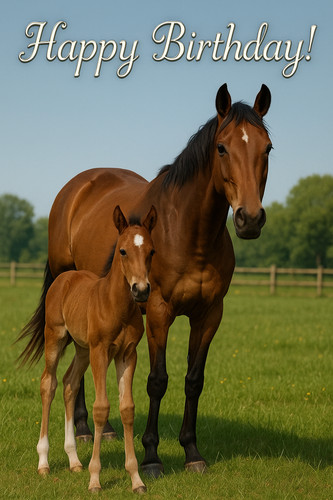 Thoroughbred horses birthday - horses,
