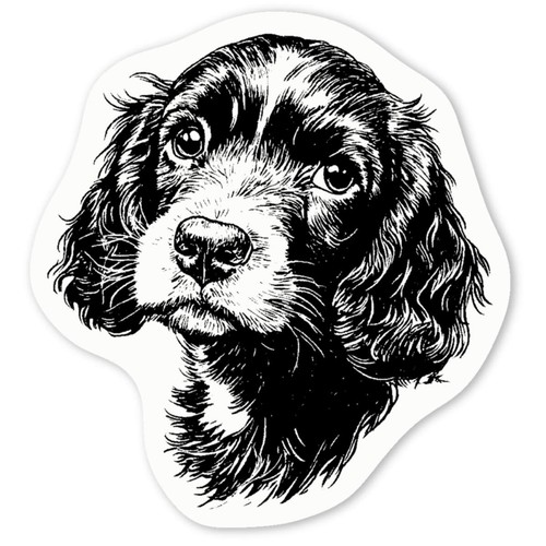 Cocker spaniel puppy white - 'cocker, puppy'