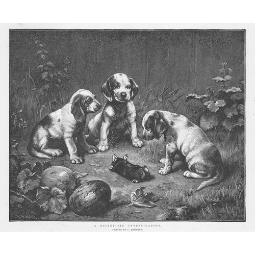 Carl reichert scientific - carl,