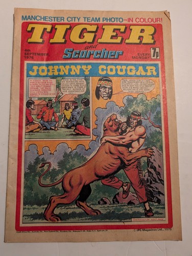 Tiger and scorcher - tiger,