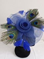 Blue Peacock Feather