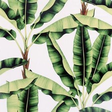 Arthouse Musa Green - Large