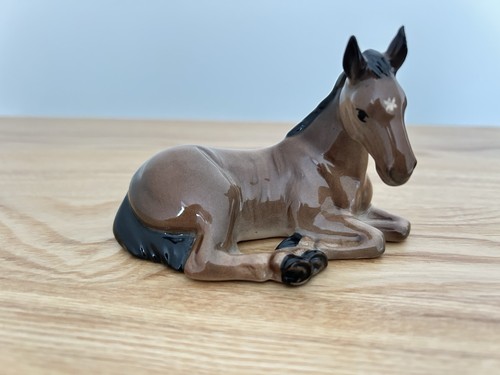 Bewick foal another - bewick,