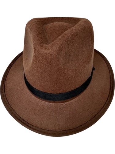 Fedora hat brown black band - fedora,