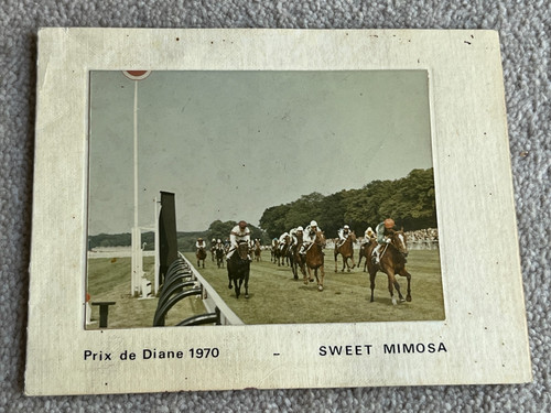 1970 prix diane - 1970, with