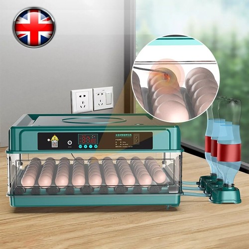 Egg incubators for - egg,