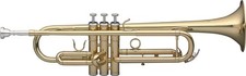 B Trumpet in Case, Stagg