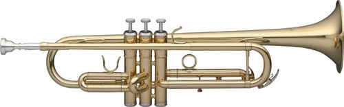 Trumpet case stagg - in,