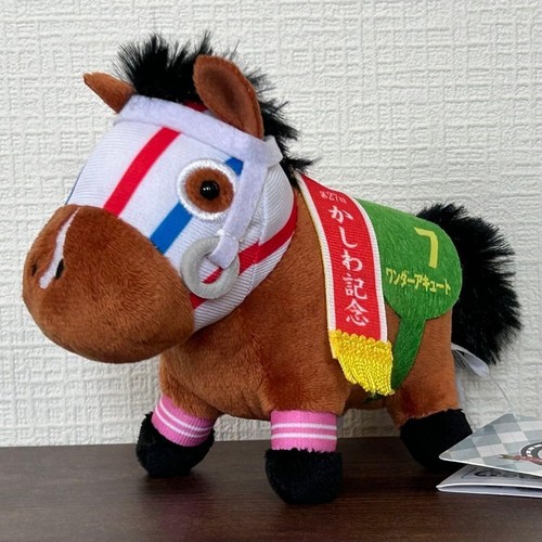 Thoroughbred collection horse - thoroughbred,