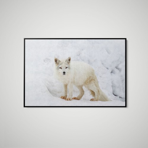 Jim cumming arctic fox art - -,