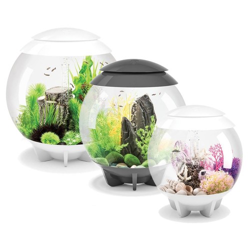 Biorb halo aquarium fish tank - halo,