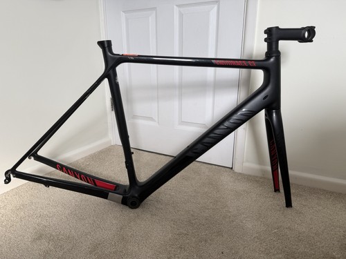 Canyon endurace carbon bike - carbon,