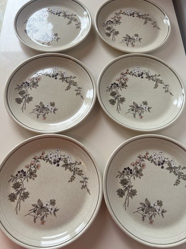 Royal doulton bredon hill - 6, x