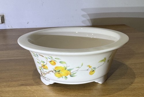Bonsai pot white - white, ceramic