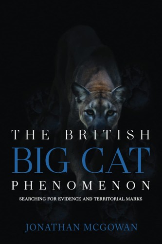 The british big cat - british,