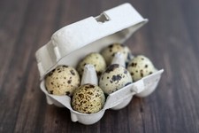 Henpac quail egg boxes - quail,