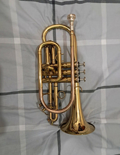 Trevada student cornet with - trevada,