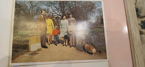 1960s postcard the royal - 1960s,