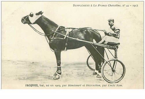 Horse racing 35957 jacques - horse,