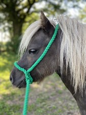 MINI SHETLAND/SHETLAND ROPE HALTER WITH LEAD ROPE EQUESTRIAN *FREE POSTAGE*