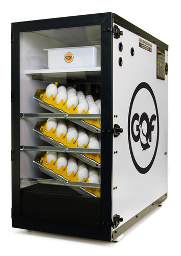 New gqf 1502 digital - -,