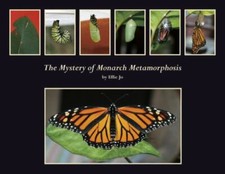 The Mystery of Monarch