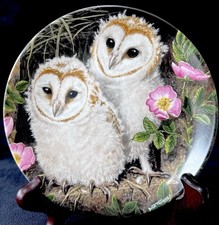 Wedgwood “Barn Owl Chicks