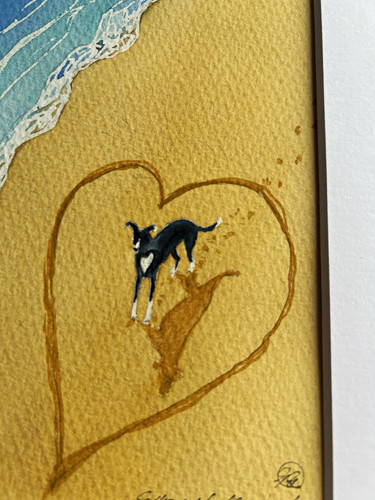 Greyhound lurcher whippet