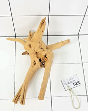 Premium Natural Aquarium Manzanita Wood Root Driftwood Fish Tank Decor 615
