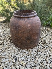 Terracotta rhubarb forcer - terracotta,