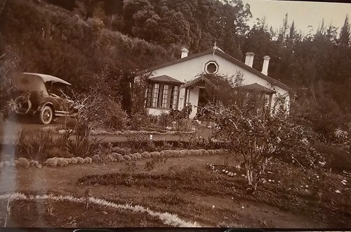 Vintage 1910s photo - vintage,