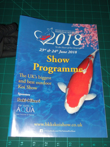 National koi show bkks - koi,