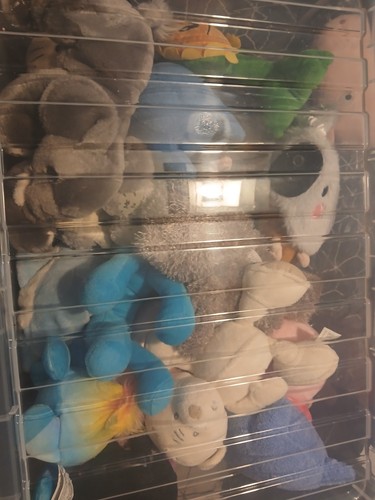 Fill small box - small, random