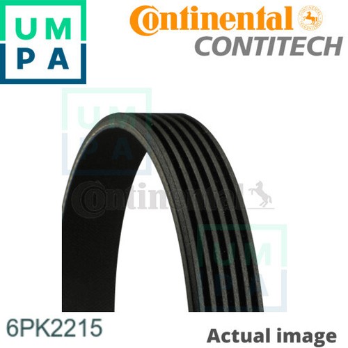 Vribbed belt for - for, vw