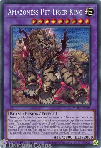Mp23 en224 amazoness - amazoness, liger
