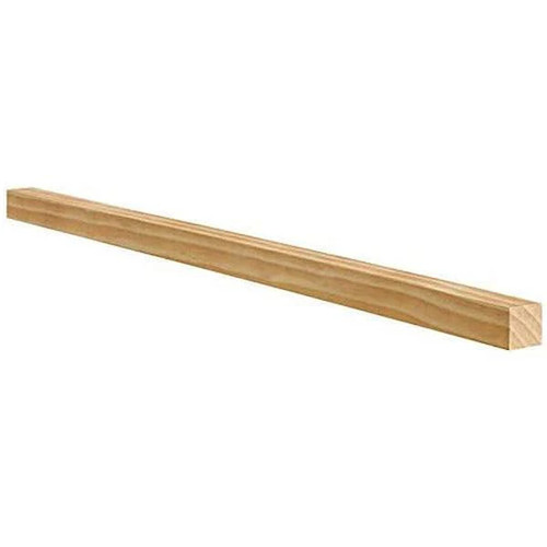 Ventral lumber x 2 - ventral, in.