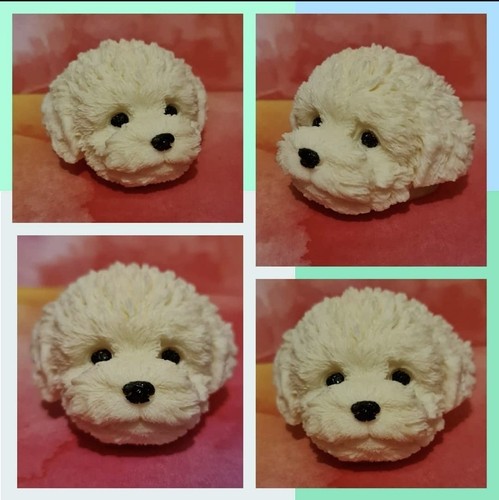 Cute dog head - cute,