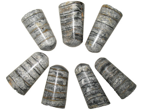 Devonian orthoceras ammonite - devonian,