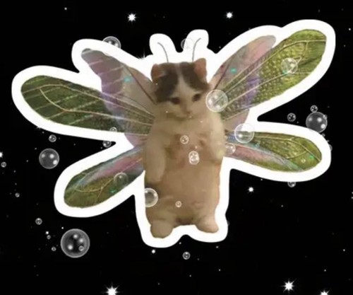 Kitten cute fairy sticker - kitten,