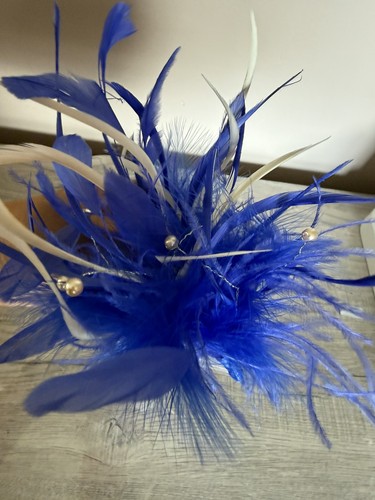 Royal blue and white hair - royal,