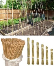 2ft Heavy Duty Large Bamboo