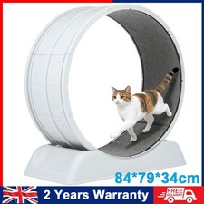 Cat Exercise Wheel Large Cat