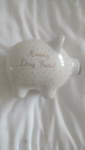 Rainy day fund - rainy, bank
